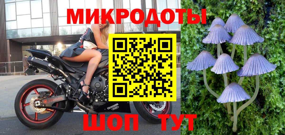 Псилоцибиновые грибы Psilocybine cubensis Комсомольск-на-Амуре